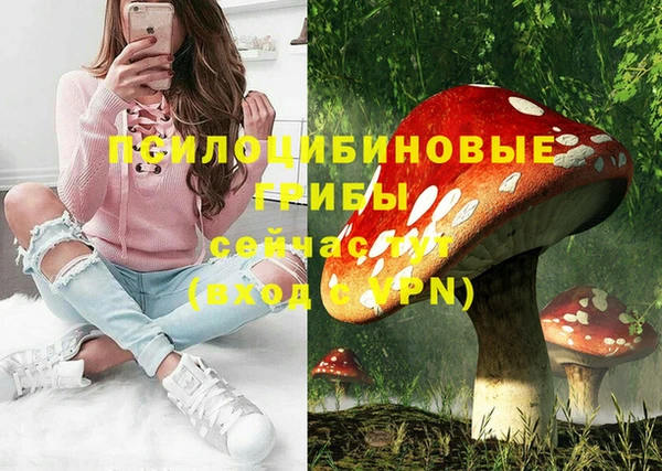 ГАЛЛЮЦИНОГЕННЫЕ ГРИБЫ Алексеевка
