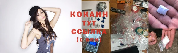 ГАЛЛЮЦИНОГЕННЫЕ ГРИБЫ Алексеевка
