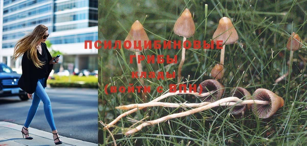 ГАЛЛЮЦИНОГЕННЫЕ ГРИБЫ Алексеевка