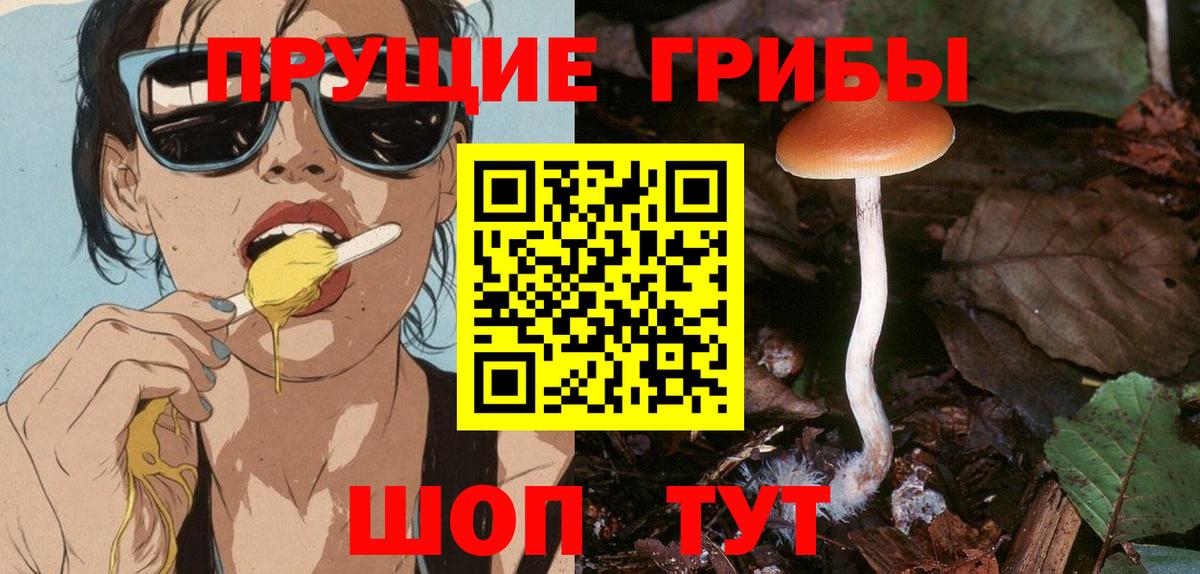 Галлюциногенные грибы Cubensis  Вход с VPN  Нефтекумск 