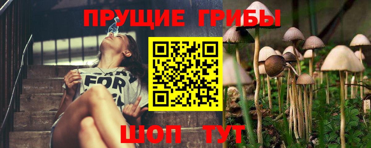 Галлюциногенные грибы MAGIC MUSHROOMS Нефтекумск