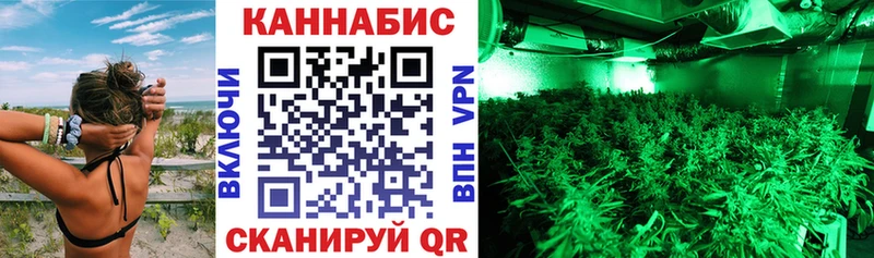 Канабис конопля  закладка  Нефтекумск 