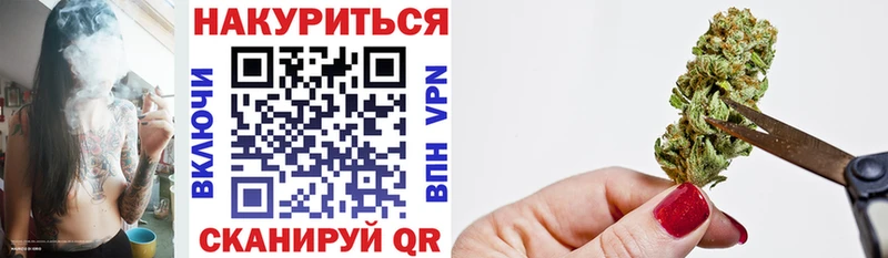 Шишки марихуана сатива Нефтекумск